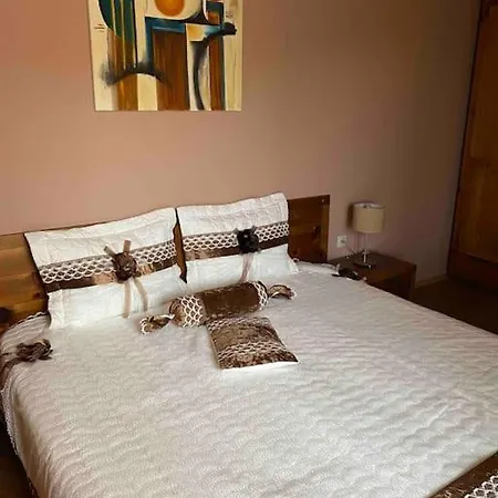 A Cozy Apartment With A View Of The Mountain! Lejlighed Bansko