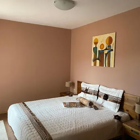 A Cozy Apartment With A View Of The Mountain! * Bansko